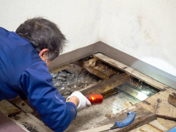 Best Water Damage Restoration  in Farmingdale, NJ