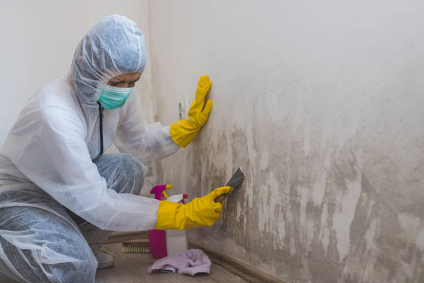 Best Commercial Mold Removal  in Farmingdale, NJ