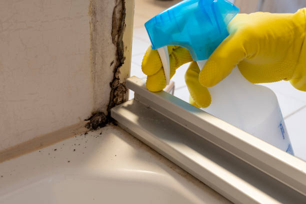 Best Fast Mold Removal  in Farmingdale, NJ