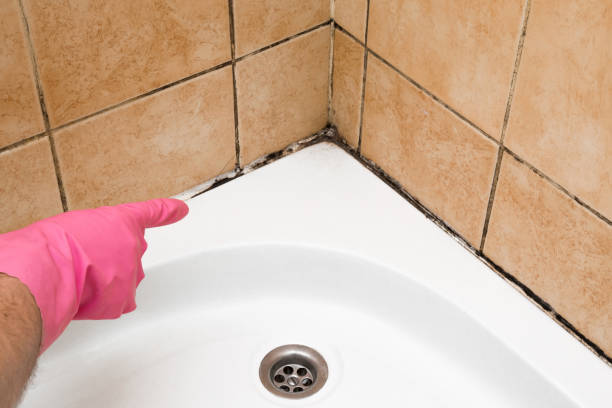 Best Crawl Space Mold Removal  in Farmingdale, NJ